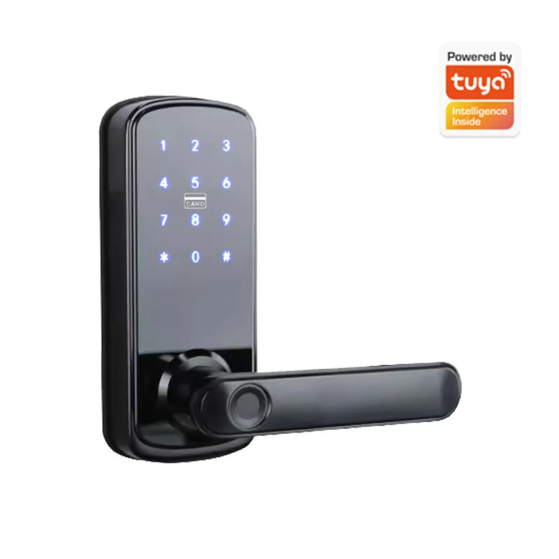 Single Tongue Password Fingerp - Smart Door Lock Wifi ulasan dan harga